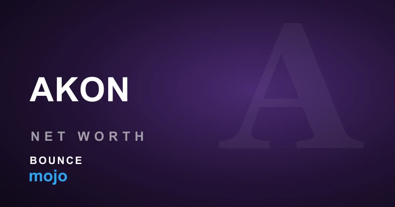 Akon net worth