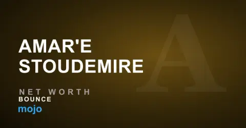 Amar'e Stoudemire biography