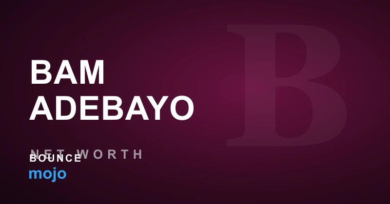 Bam Adebayo biography