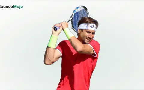 David Ferrer