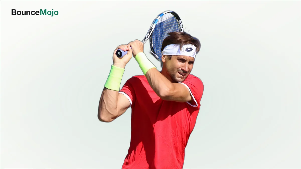 David Ferrer net worth