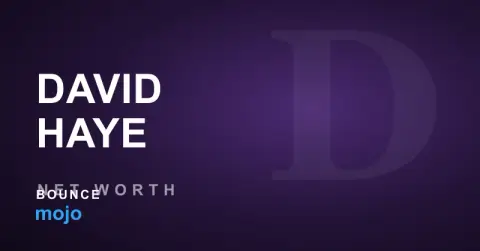 David Haye net worth