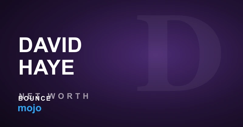 David Haye net worth