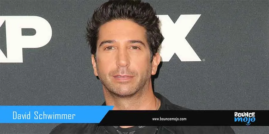 David Schwimmer Net Worth