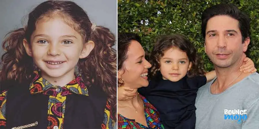 David Schwimmer Family