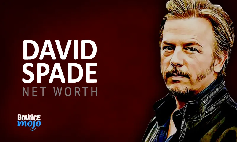 David Spade Net Worth Fl