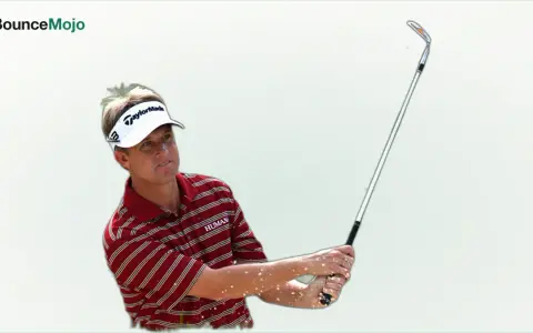 David Toms