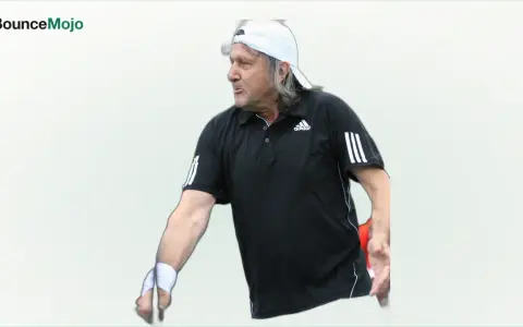 Ilie Nastase net worth
