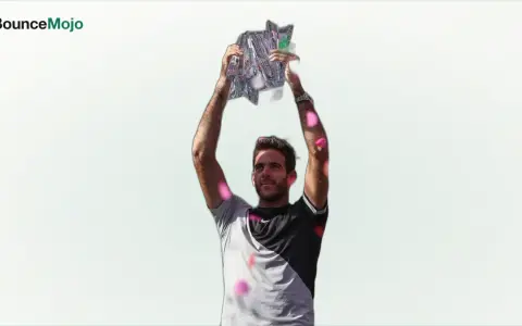 Juan Martin del Potro
