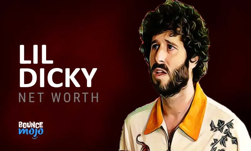 lil dicky net worth fi