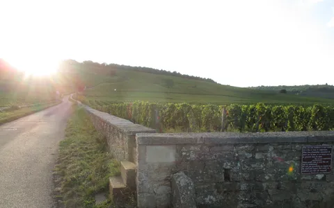 The Romanée-Conti vineyard in Vosne-Romanée, Burgundy, with its stone cross and boundary wall