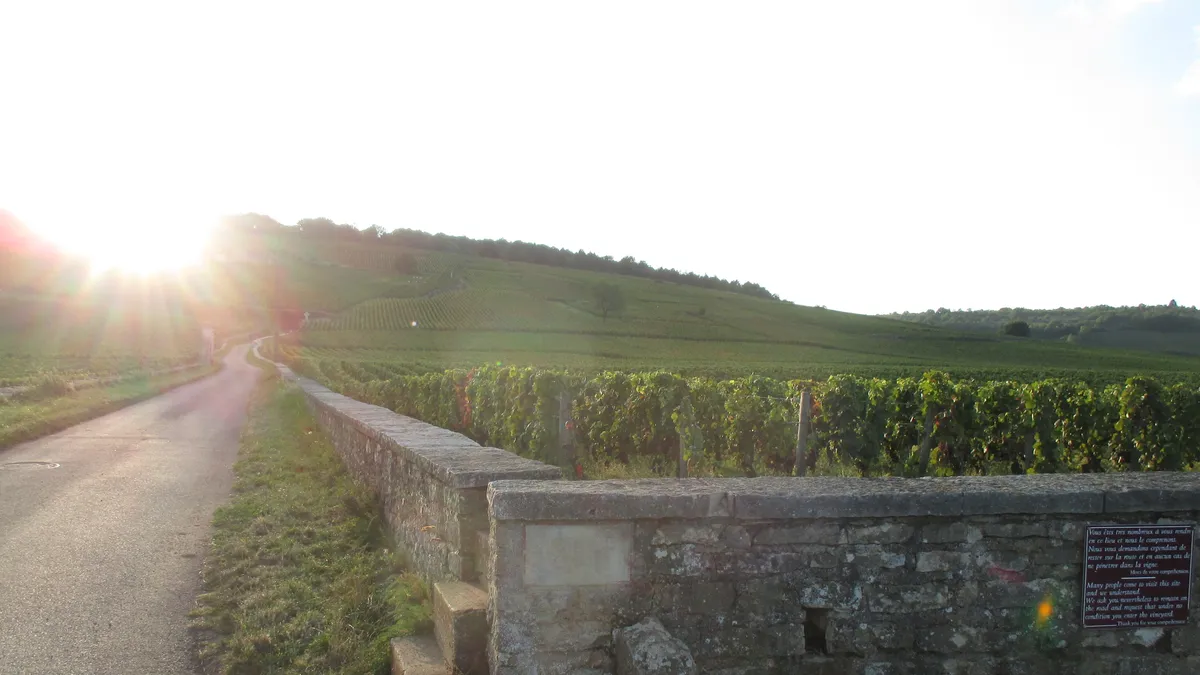 The Romanée-Conti vineyard in Vosne-Romanée, Burgundy, with its stone cross and boundary wall