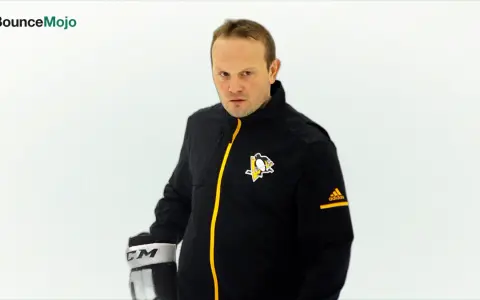 Sergei Gonchar