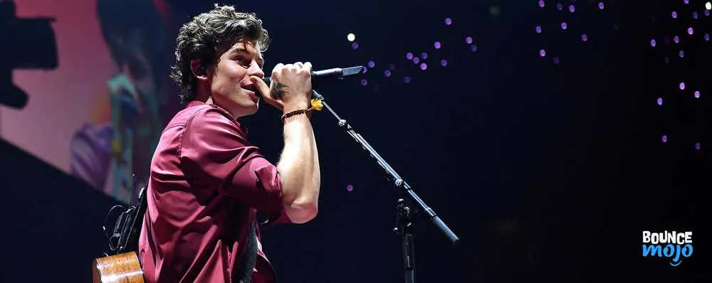 Shawn Mendes Business Shawn Mendes Business