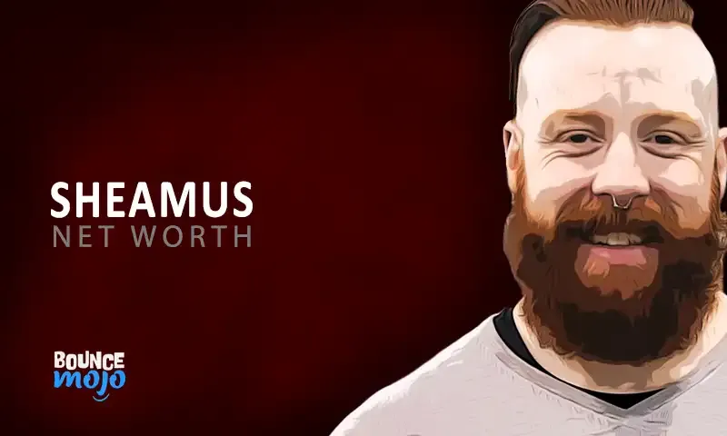 Sheamus Net Worth