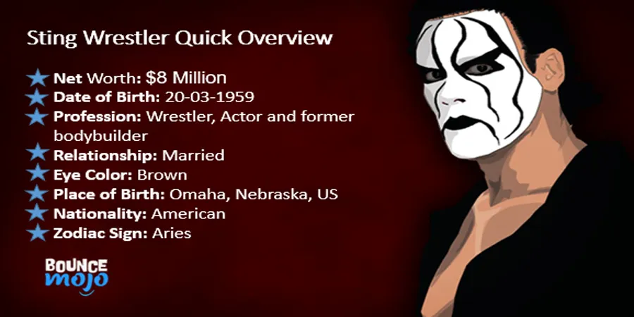Sting Wrestler Net Worth
