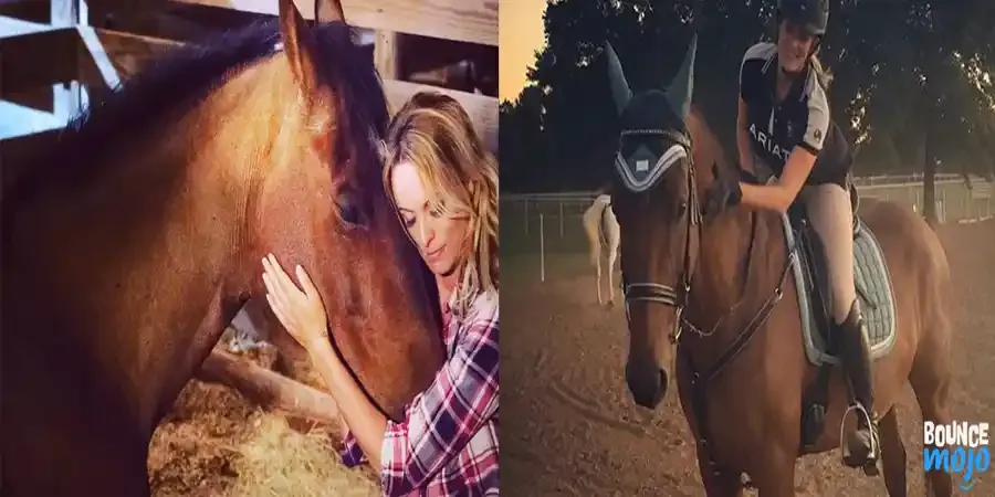 Stormy Daniels Horse