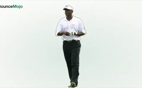 Vijay Singh